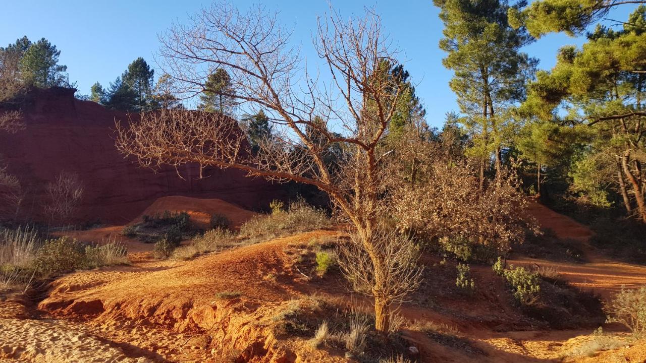 Gite Hanna En Luberon - Le Boisset De St Martin De Castillon Saint-Martin-de-Castillon エクステリア 写真