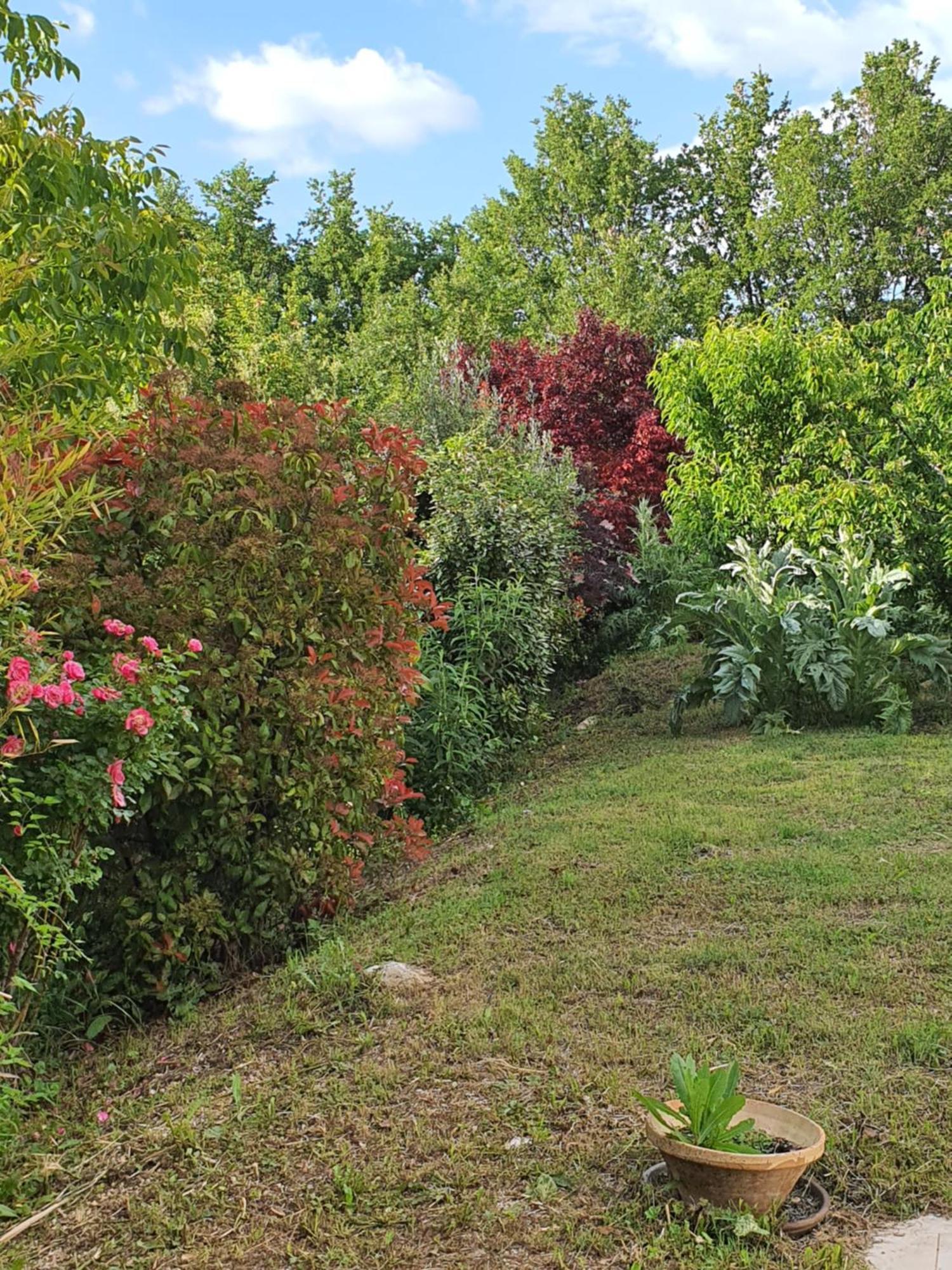 Gite Hanna En Luberon - Le Boisset De St Martin De Castillon Saint-Martin-de-Castillon エクステリア 写真