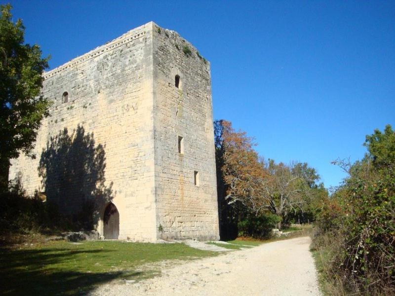 Gite Hanna En Luberon - Le Boisset De St Martin De Castillon Saint-Martin-de-Castillon エクステリア 写真