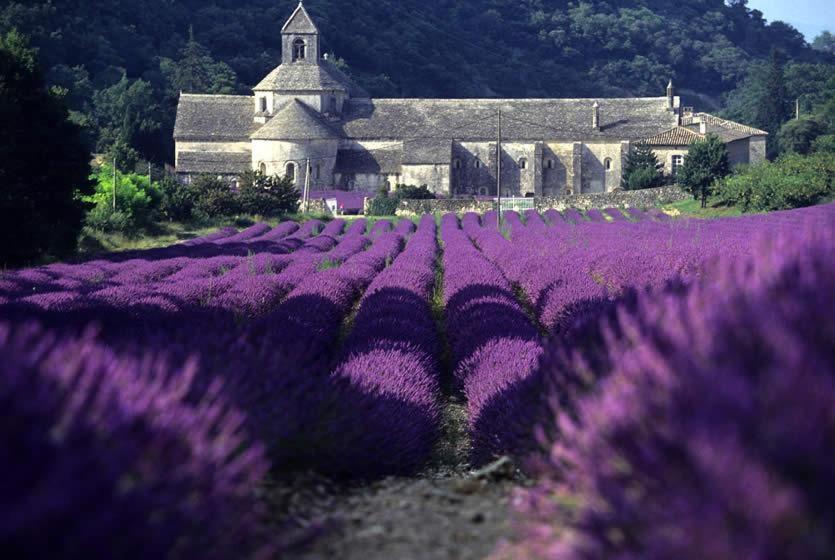 Gite Hanna En Luberon - Le Boisset De St Martin De Castillon Saint-Martin-de-Castillon エクステリア 写真